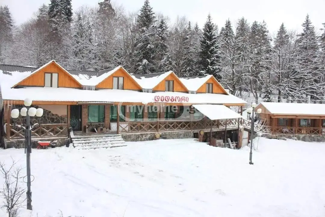10+ Room Hotel For Sale In Bakuriani view 1