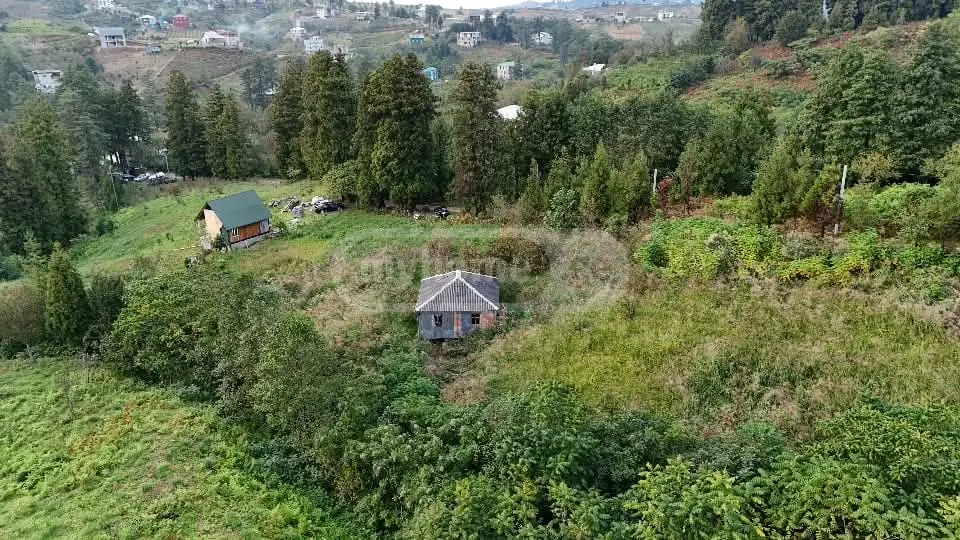 Agricultural Plot For Sale In Chaqvi, In Kobuleti Municipality view 6