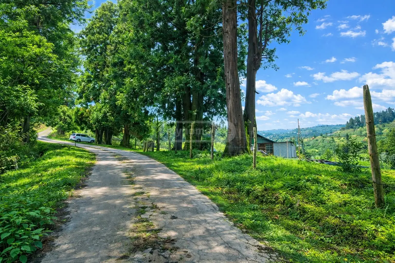 Agricultural Plot For Sale In Chaqvi, In Kobuleti Municipality view 5