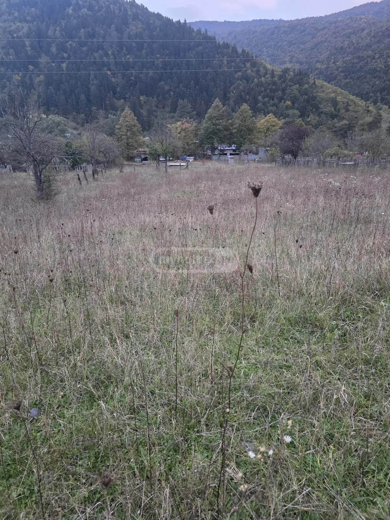 Agricultural Plot For Sale In Kortaneti, In Borjomi Municipality view 4