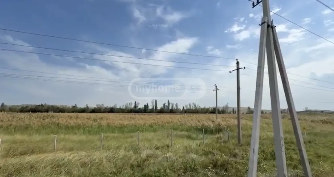 Agricultural Plot For Sale In Vaziani, In Gardabani Municipality view 1