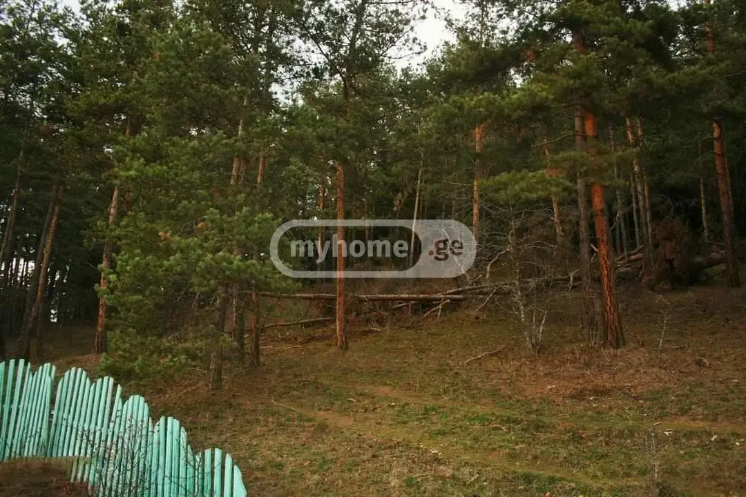 10+ Room Hotel For Sale In Bakuriani view 10