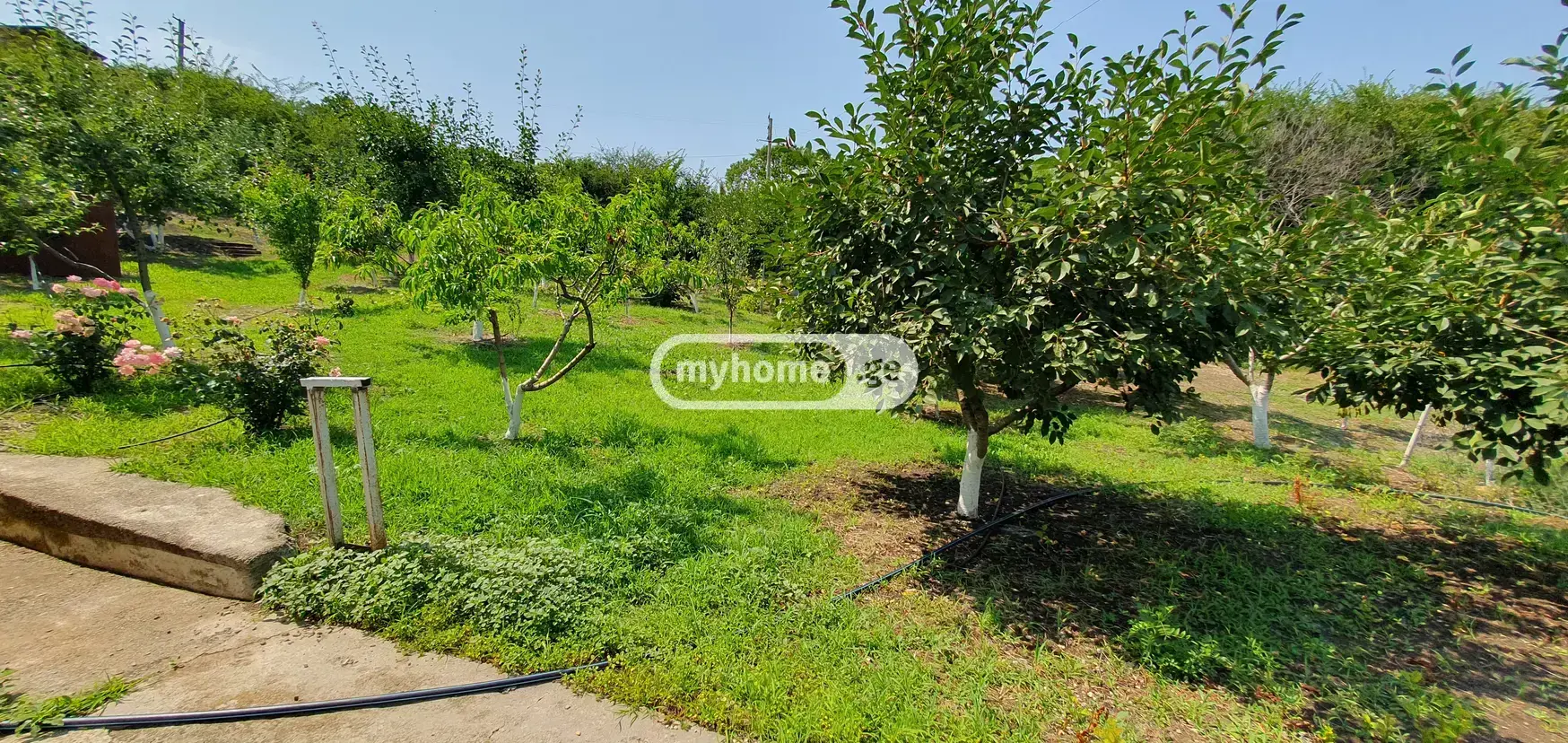 7 Room Country House For Sale view 12