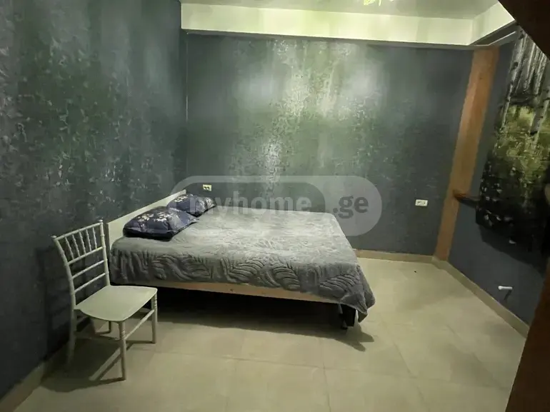 5 Room Private House Daily Rent In Gldani view 7