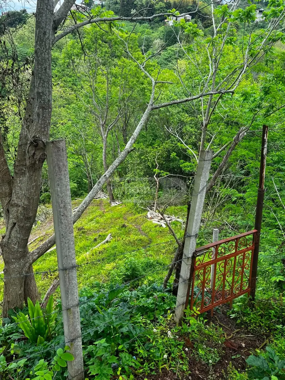 Agricultural Plot For Sale In Makhinjauri, In Batumi view 2