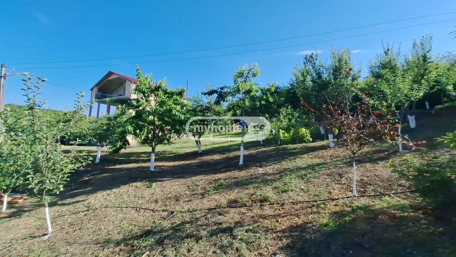 7 Room Country House For Sale view 10
