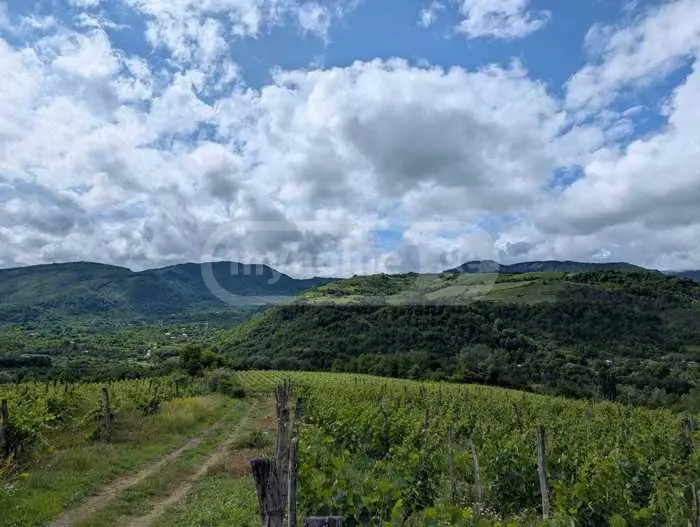 Agricultural Plot For Sale In Ambrolauri view 3