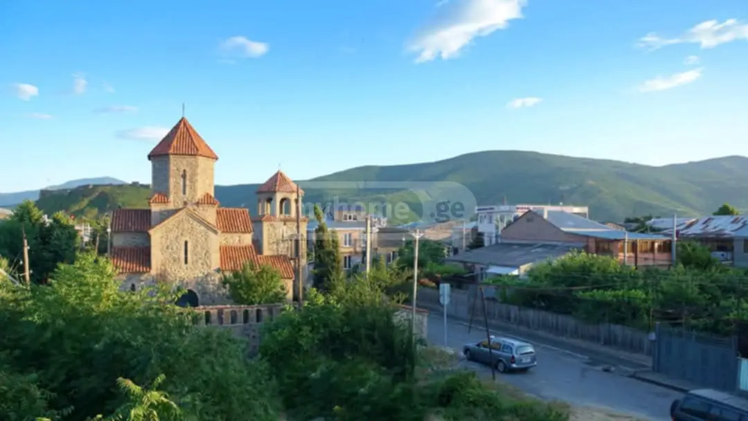 2 Room Apartment For Rent In Gori view 10