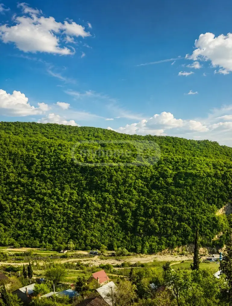 6 Room Private House Daily Rent In Gldani view 10