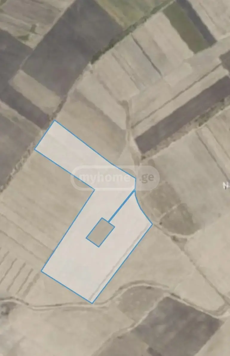 Agricultural Plot For Sale In Katchreti, In Gurjaani Municipality view 1