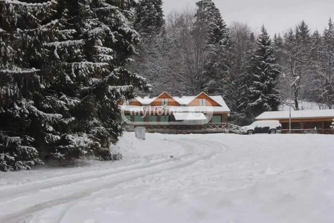10+ Room Hotel For Sale In Bakuriani view 9