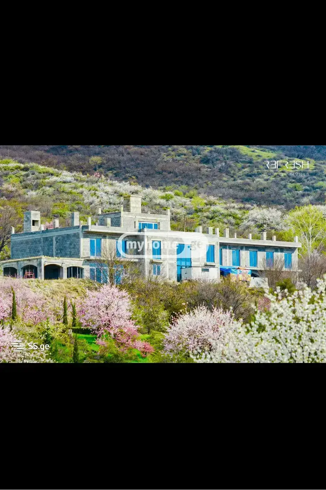 10+ Room Hotel For Sale In Sagarejo view 1