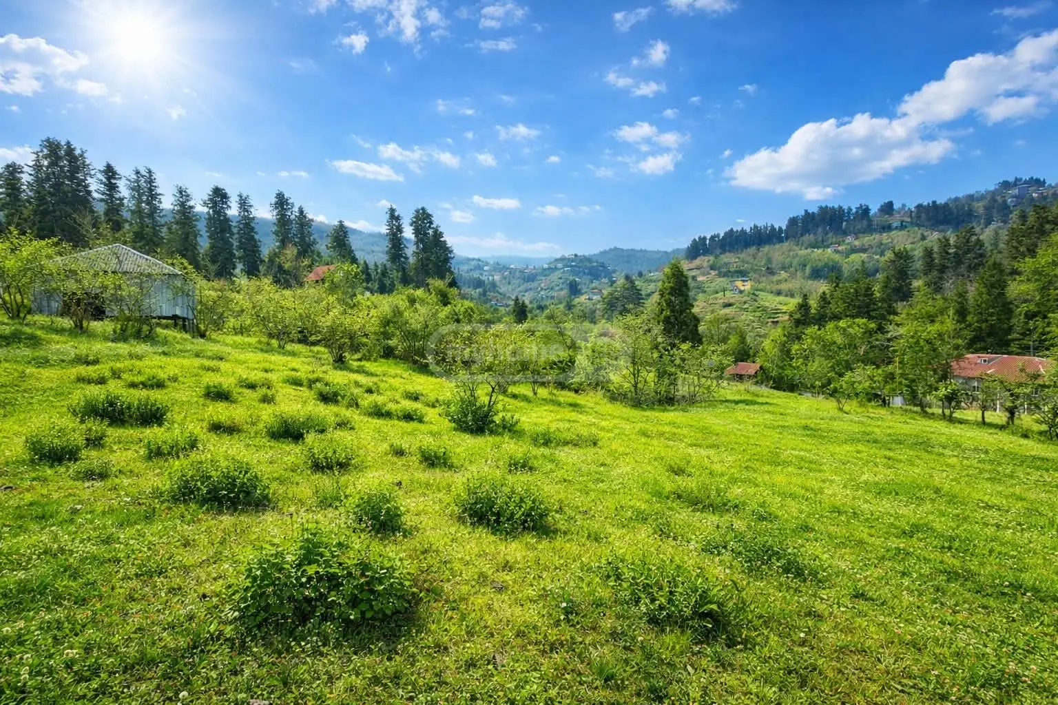 Agricultural Plot For Sale In Chaqvi, In Kobuleti Municipality view 1