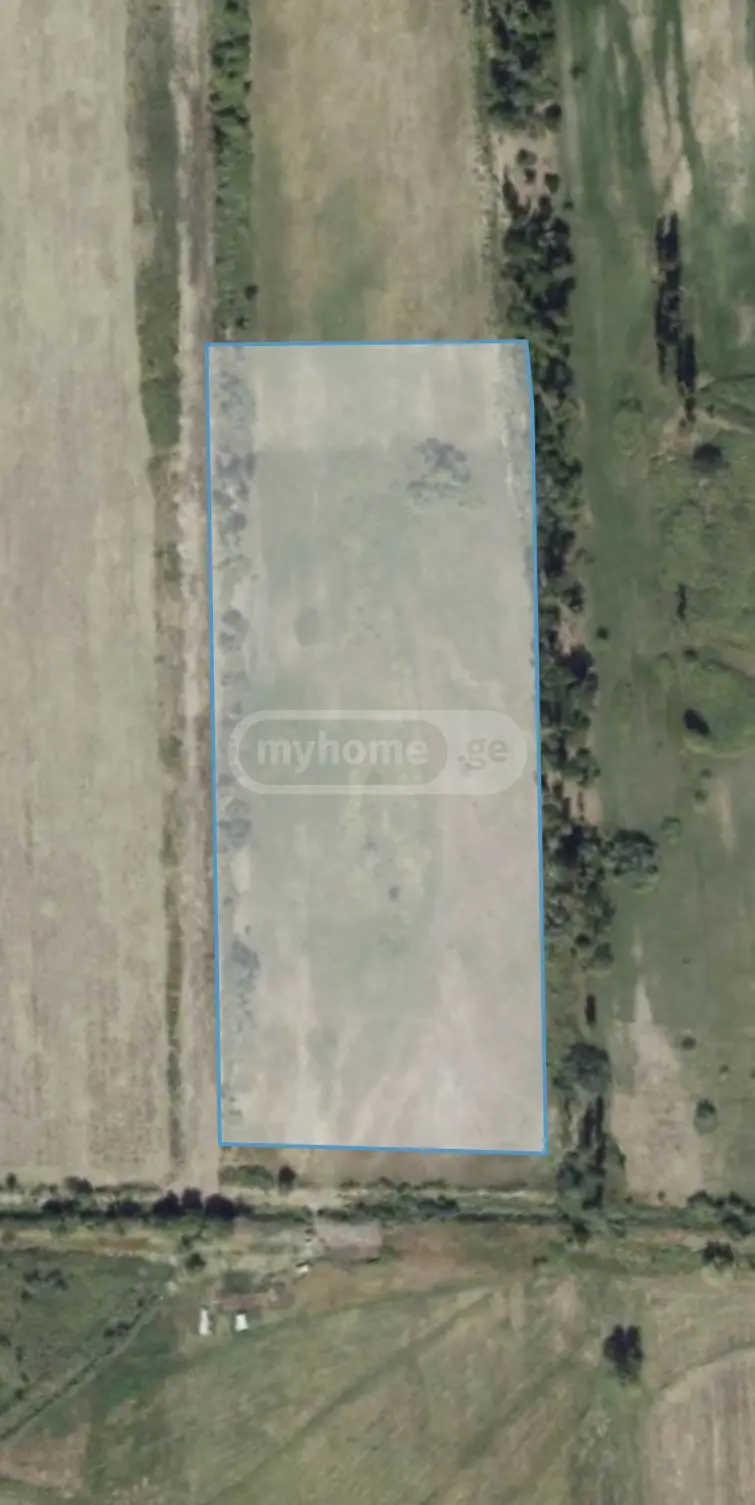 Agricultural Plot For Sale In Vaziani, In Gardabani Municipality view 1