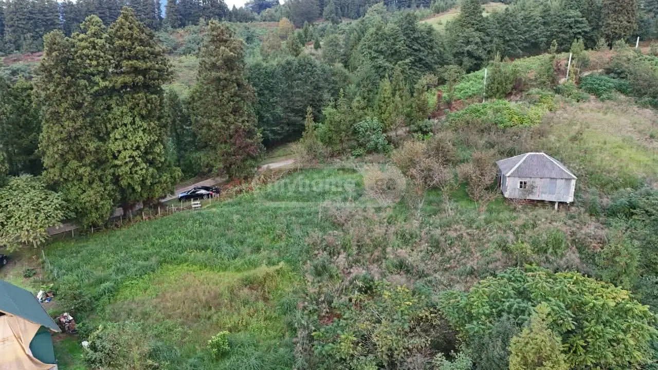 Agricultural Plot For Sale In Chaqvi, In Kobuleti Municipality view 7