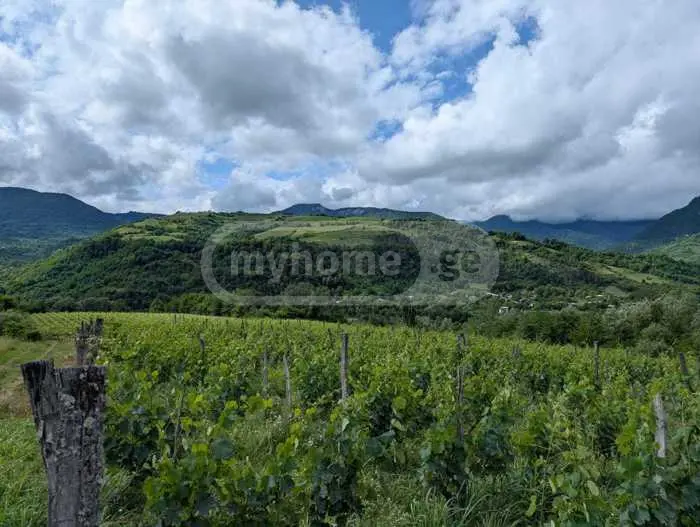 Agricultural Plot For Sale In Ambrolauri view 2