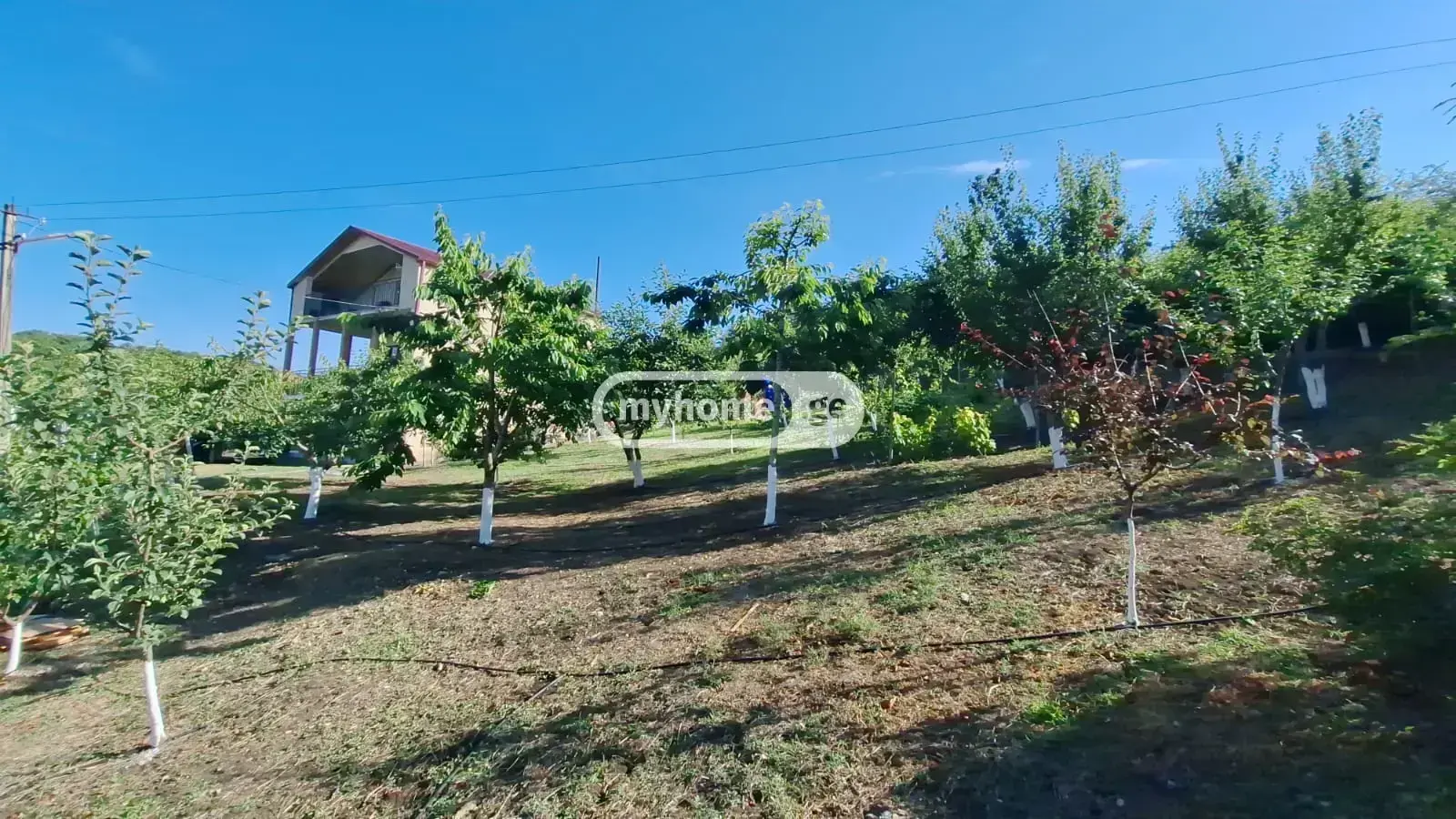 7 Room Country House For Sale view 10