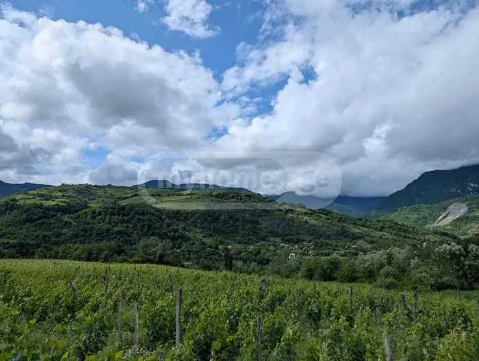 Agricultural Plot For Sale In Ambrolauri view 5