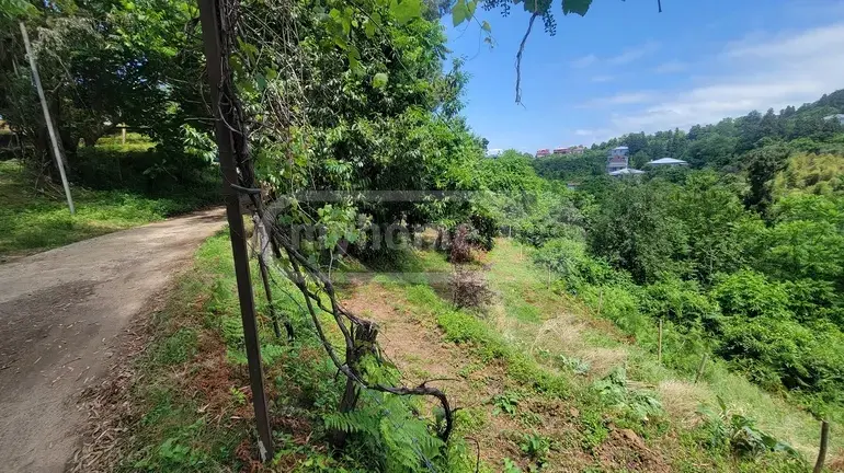 Agricultural Plot For Sale In Tsikhisdziri, In Kobuleti Municipality view 5