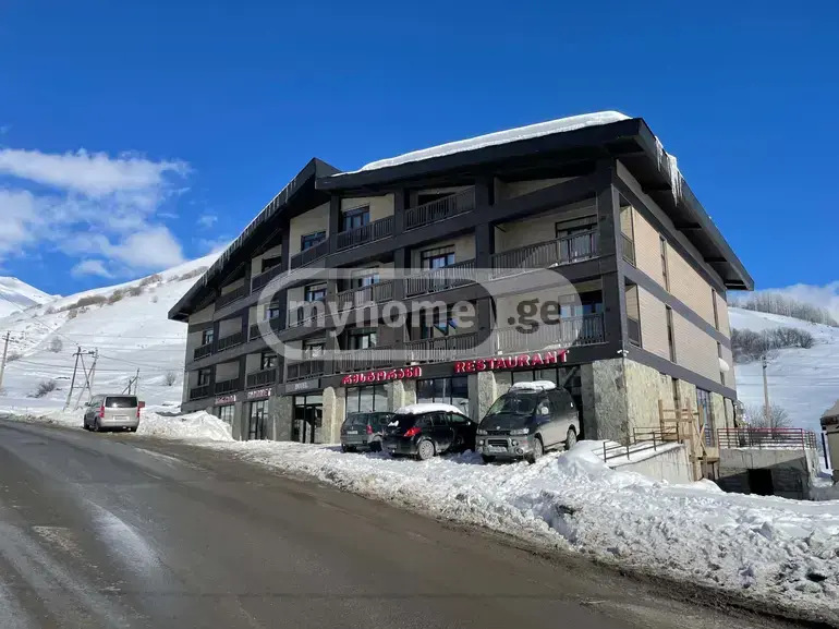 Universal Commercial Area For Rent In Gudauri view 1