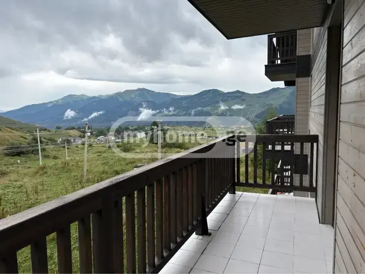 Universal Commercial Area For Rent In Gudauri view 7