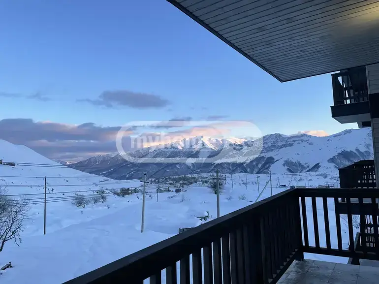 Universal Commercial Area For Rent In Gudauri view 9