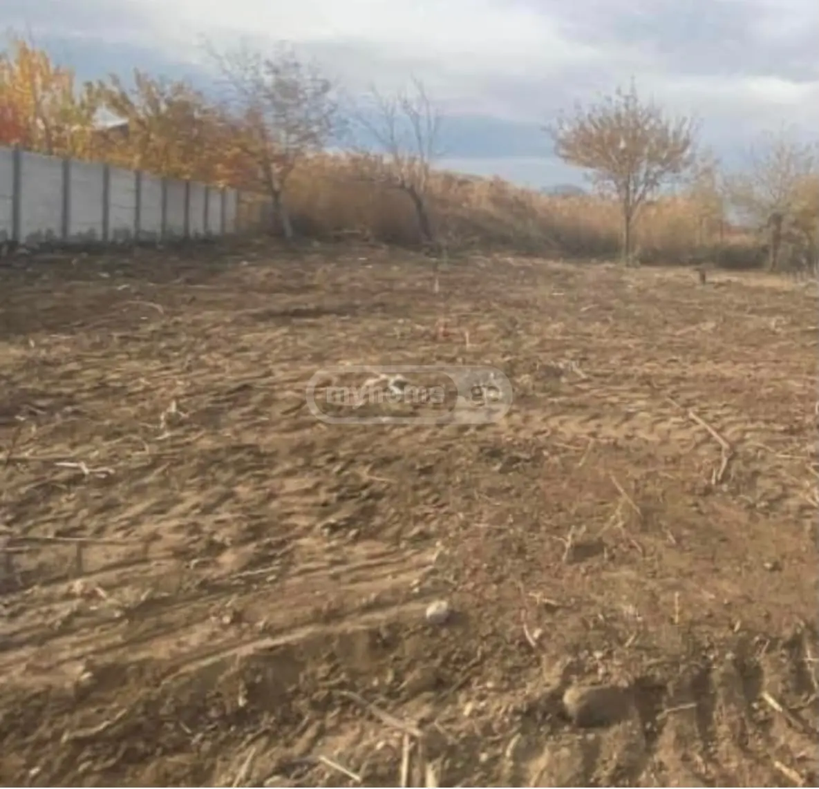 Agricultural Plot For Sale In Didube view 3