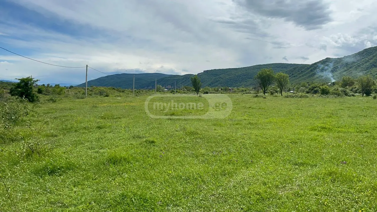 Agricultural Plot For Sale In Aragvispiri, In Dusheti Municipality view 3