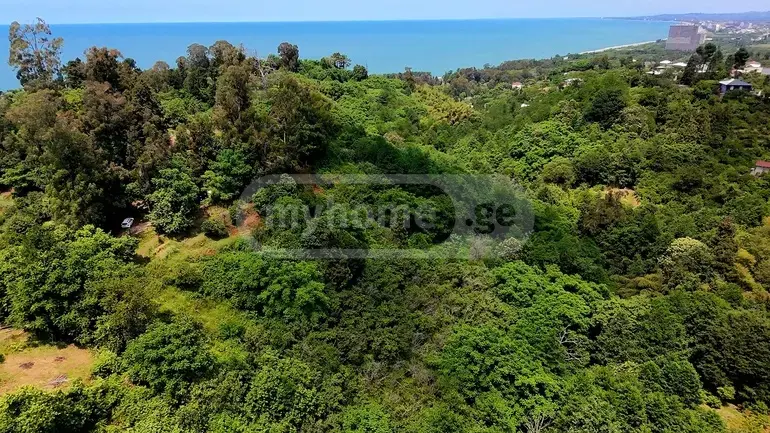 Agricultural Plot For Sale In Tsikhisdziri, In Kobuleti Municipality view 3