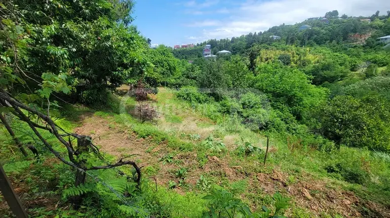 Agricultural Plot For Sale In Tsikhisdziri, In Kobuleti Municipality view 6