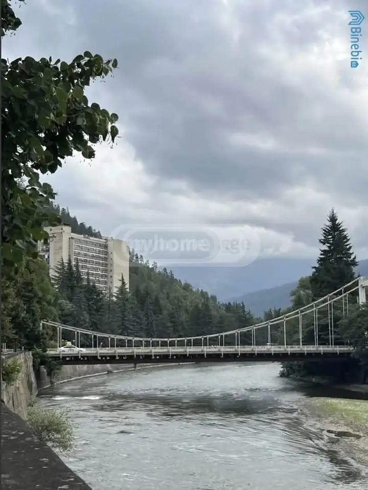 1 Room Apartment For Rent In Borjomi view 4