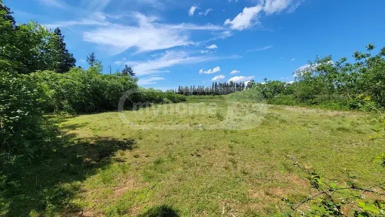Agricultural Plot For Sale In Ozurgeti view 1