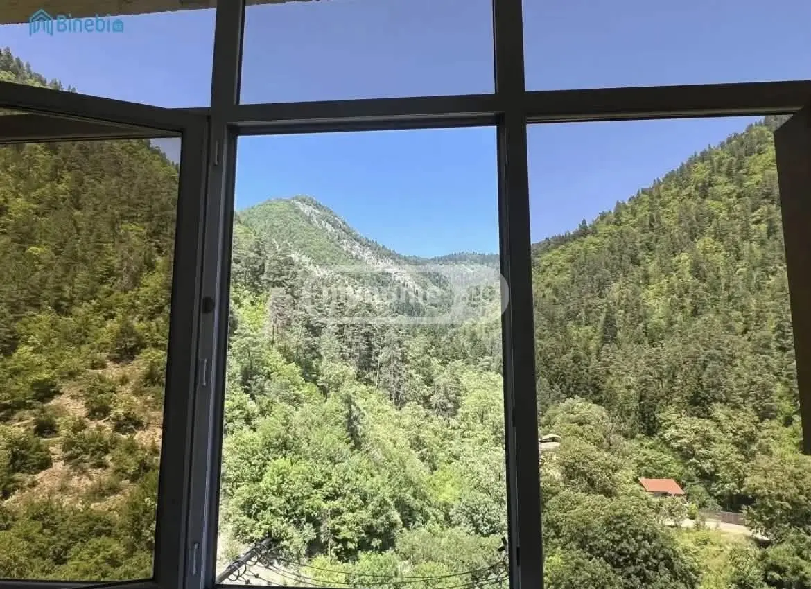 1 Room Apartment For Rent In Borjomi view 2