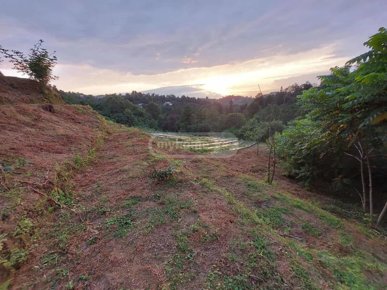 Agricultural Plot For Sale In Chaqvi, In Kobuleti Municipality view 5