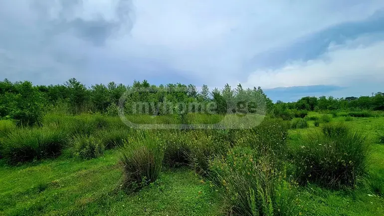 Agricultural Plot For Sale In Ozurgeti view 2