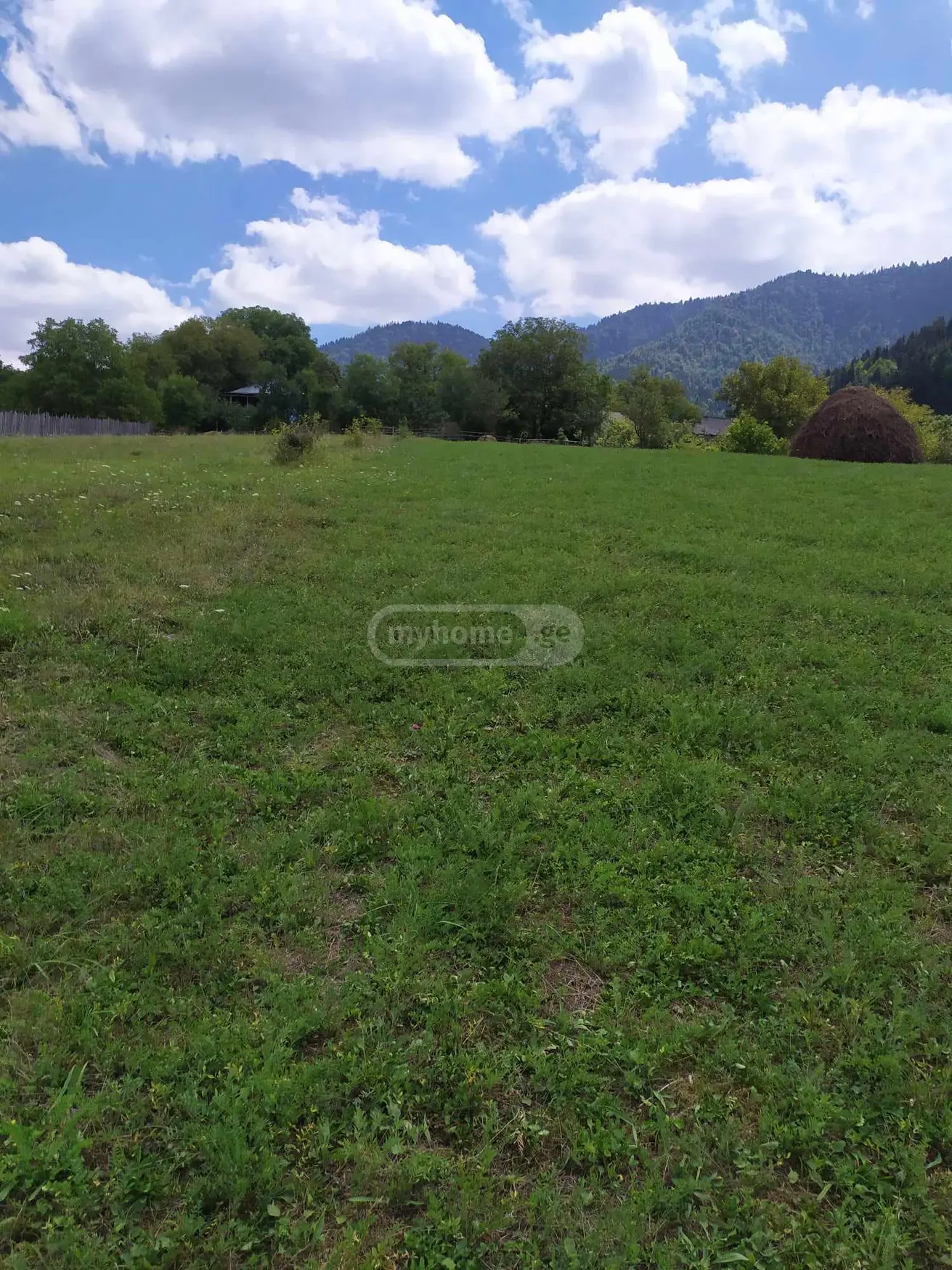 Agricultural Plot For Sale In Mzetamze, In Borjomi Municipality view 2
