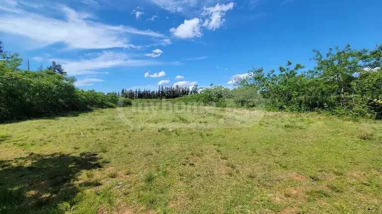 Agricultural Plot For Sale In Ozurgeti view 2