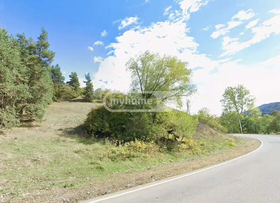 Agricultural Plot For Sale In Tsagveri, In Borjomi Municipality view 2