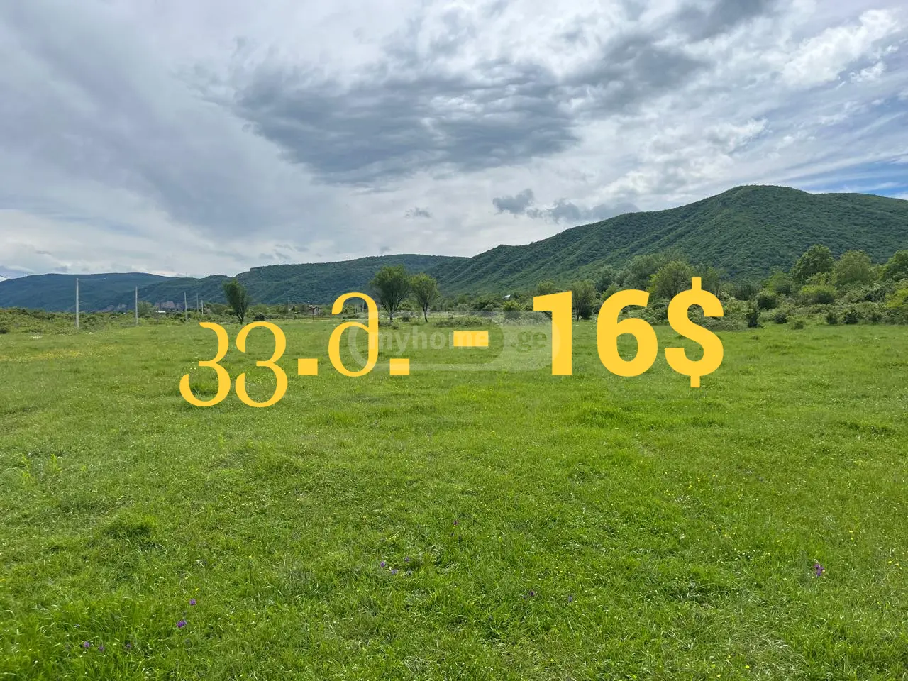 Agricultural Plot For Sale In Aragvispiri, In Dusheti Municipality view 1