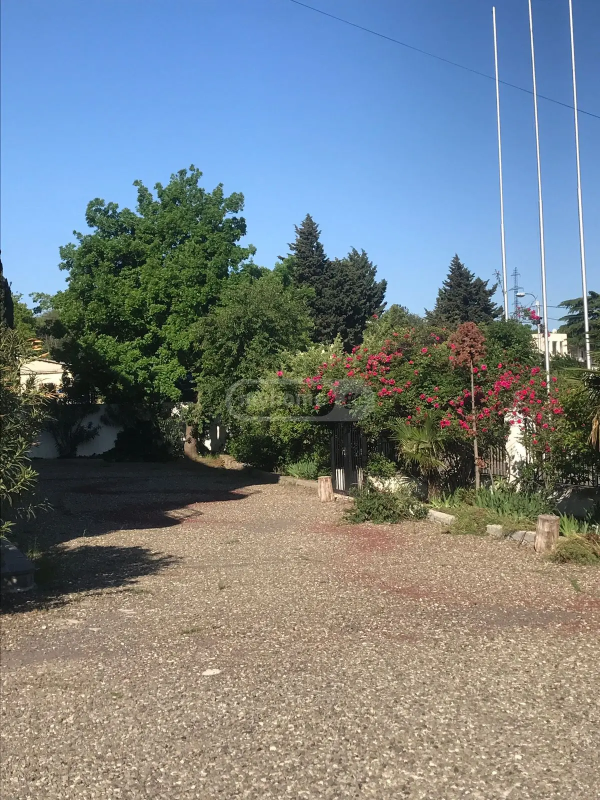 10+ Room Hotel For Sale In Lotkini view 4