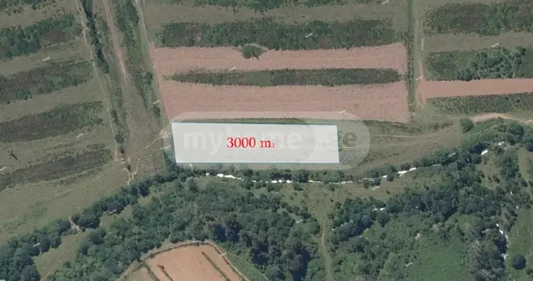 Agricultural Plot For Sale In Ozurgeti view 9