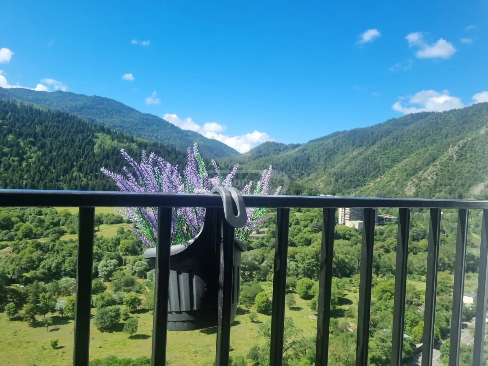 2 Room Apartment Daily Rent In Borjomi view 12