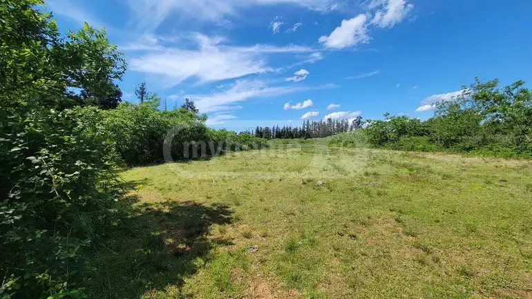 Agricultural Plot For Sale In Ozurgeti view 3