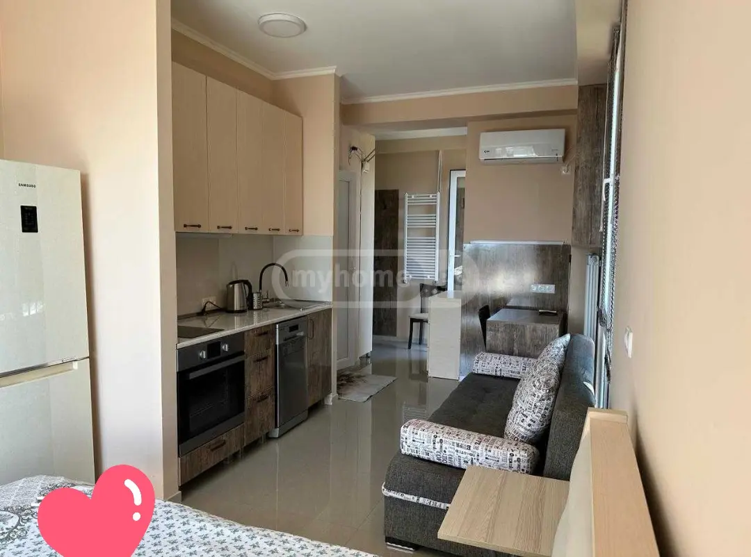 1 Room Apartment For Sale view 2