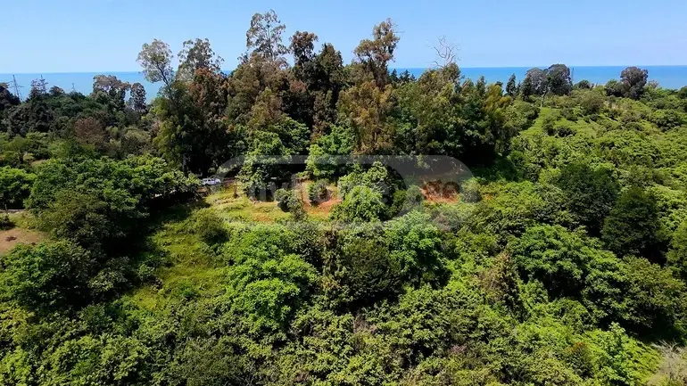 Agricultural Plot For Sale In Tsikhisdziri, In Kobuleti Municipality view 2