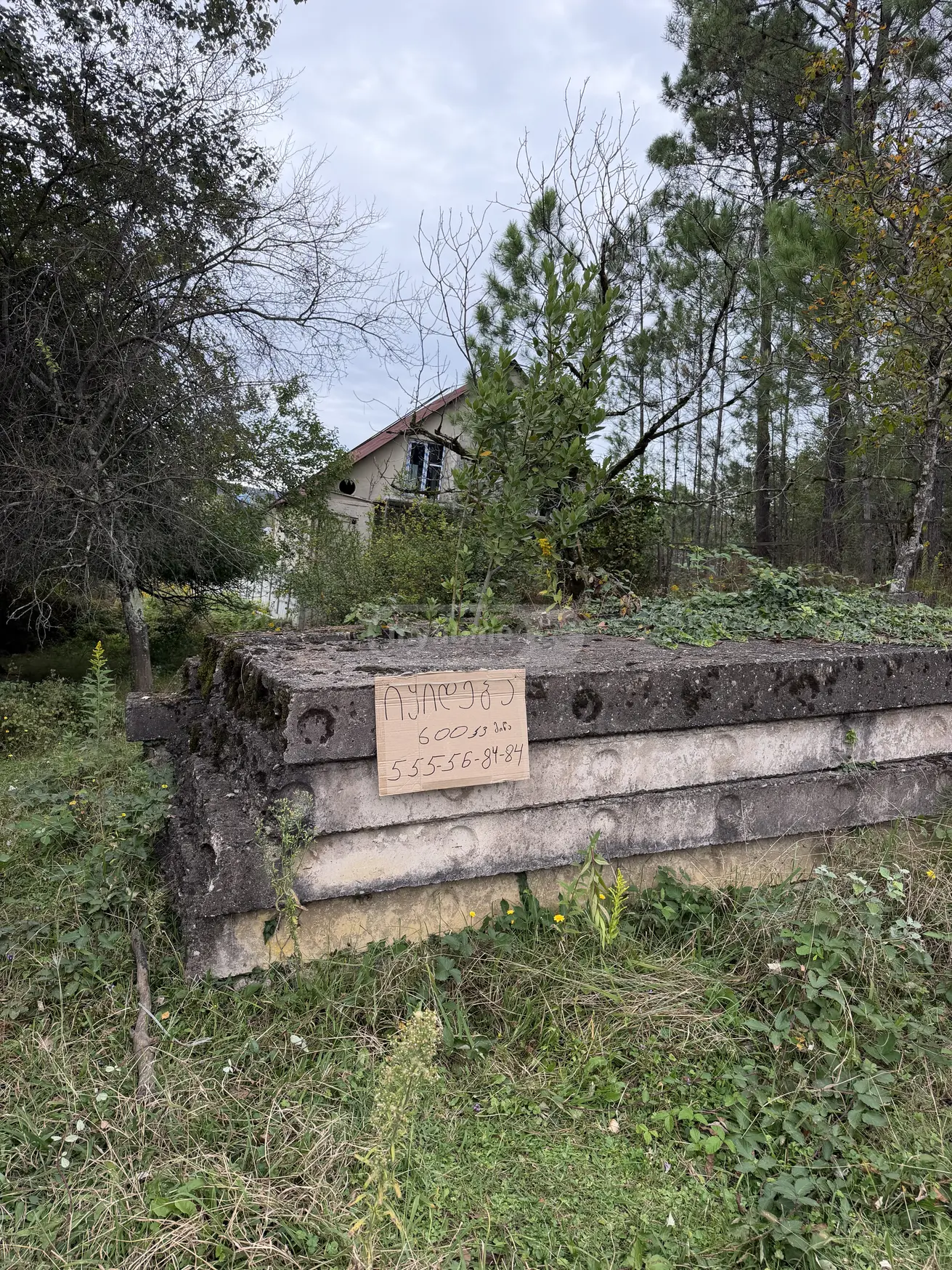 იყიდება Agricultural Plot In Banoja, In Tskaltubo Municipalityში view 1