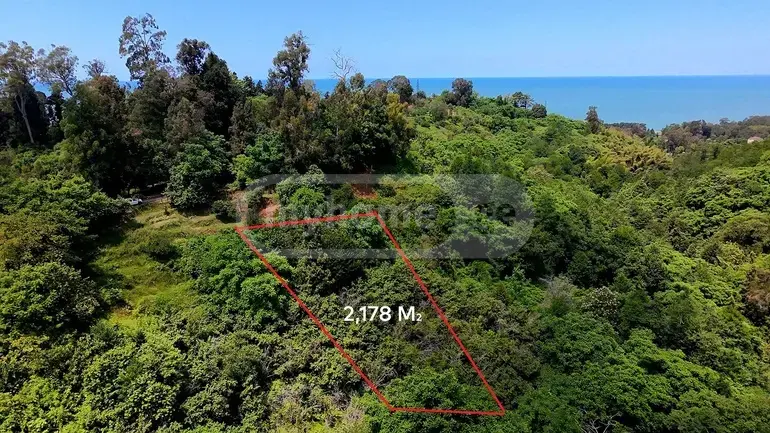 Agricultural Plot For Sale In Tsikhisdziri, In Kobuleti Municipality view 1