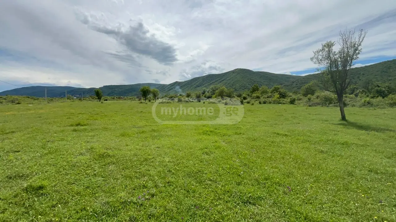 Agricultural Plot For Sale In Aragvispiri, In Dusheti Municipality view 5