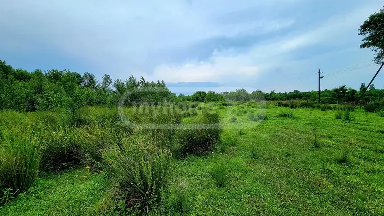 Agricultural Plot For Sale In Ozurgeti view 3