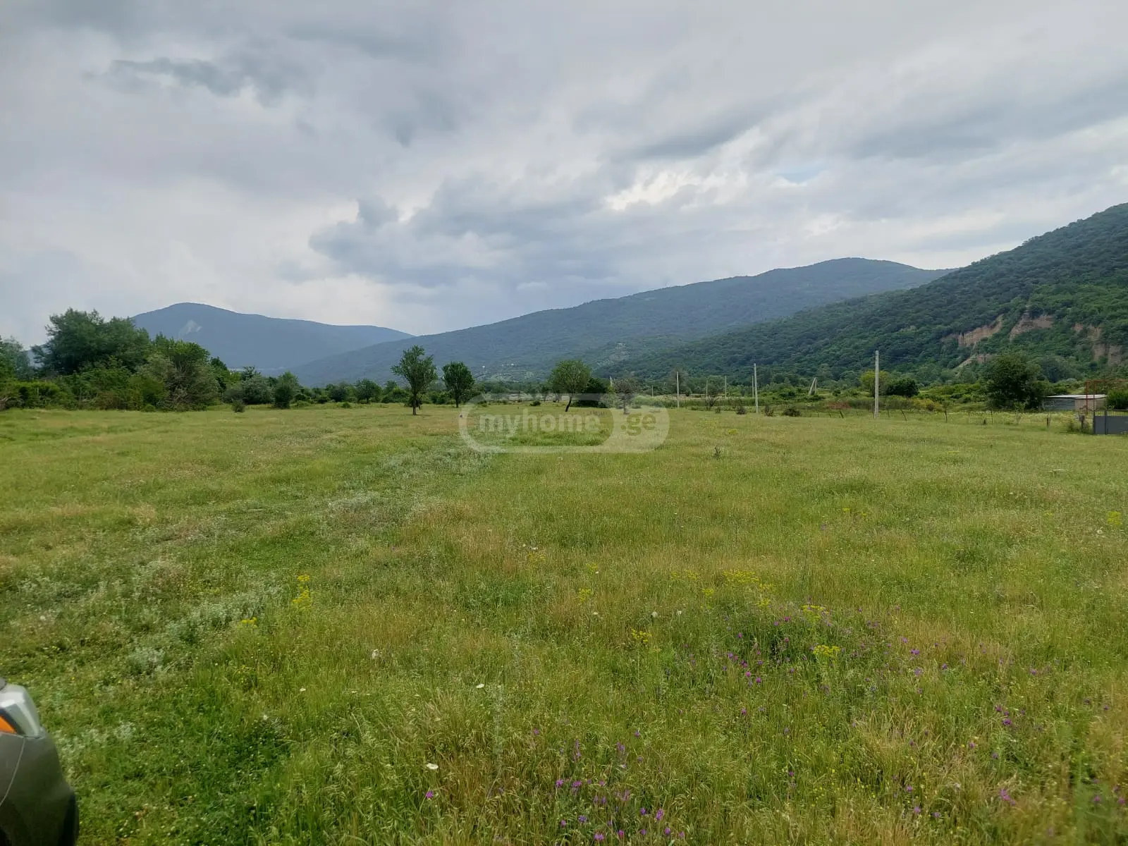 Agricultural Plot For Sale In Aragvispiri, In Dusheti Municipality view 6